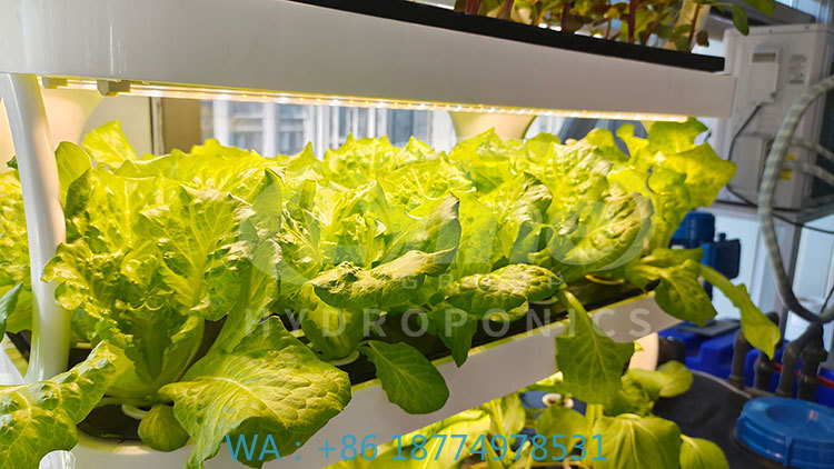 c Agriculture Machine to Growi - đánh giá và giá Agriculture Farming Systems